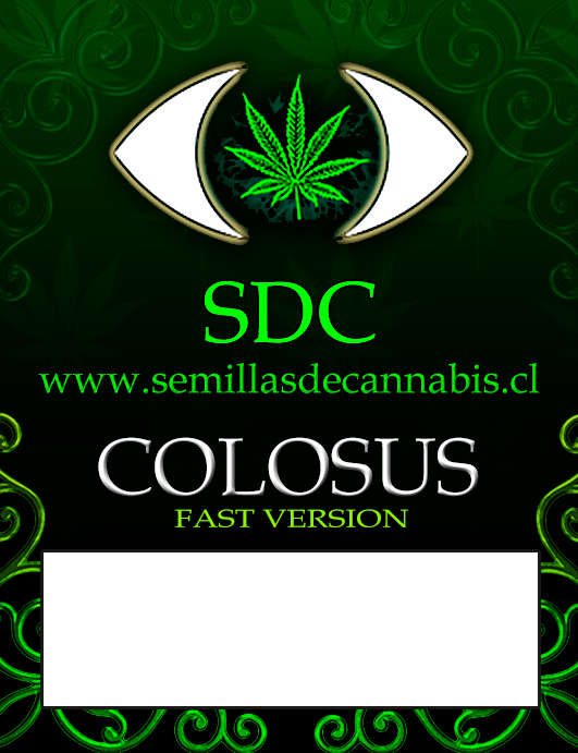 Colosus fast version