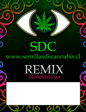REMIX Feminizadas SDC